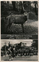 Royal Highland Greeting Inverness, Scotland Postcard Postcard Postcard