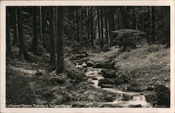 Lauchagrund Bad Tabarz Postcard