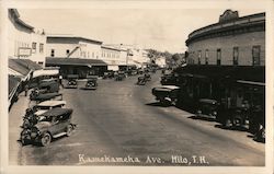 Kamehameha Avenue Postcard