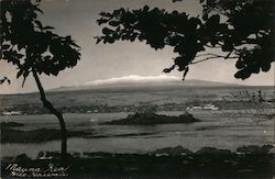 Stock #1004701 Thumbnail