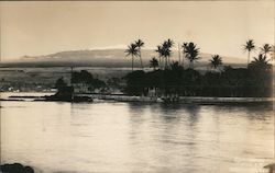 Hilo Harbor Postcard