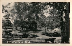 Liliuokalani Park Hilo, HI Postcard Postcard Postcard