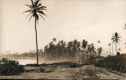 Black Sand - Kalapana, Hawaii Postcard