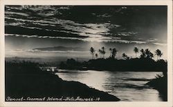 Sunset Coconut Island Postcard