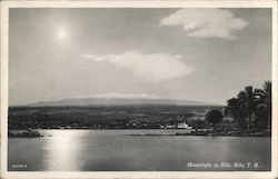 Stock #1004801 Thumbnail