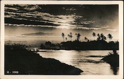 Coconut Island Postcard