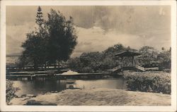 Liliuokalani Gardens - Hilo, Hawaii Postcard