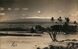View of Mauna Kea Postcard