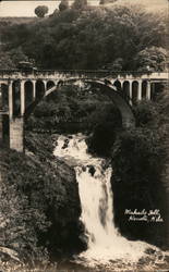 Bridge Over Wailua Nui at Upper Waikani Falls Postcard