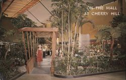 On the Mall at Cherry Hill Shopping Center Postcard