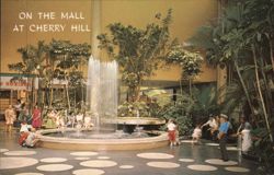 On the Mall at the Cherry Hill Shopping Center Postcard