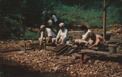 Sluicing At One Of The Ruby Mines Postcard
