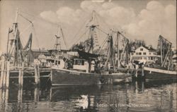 Docks at Stonington, Connecticut Postcard