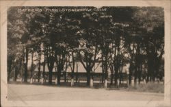 Mathews Park, Stonington, Conn. Postcard