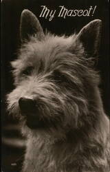 My Mascot! - Cairn Terrier Dog Postcard