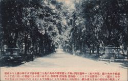 Japanese: New York City Central Park Mall Promenade Postcard