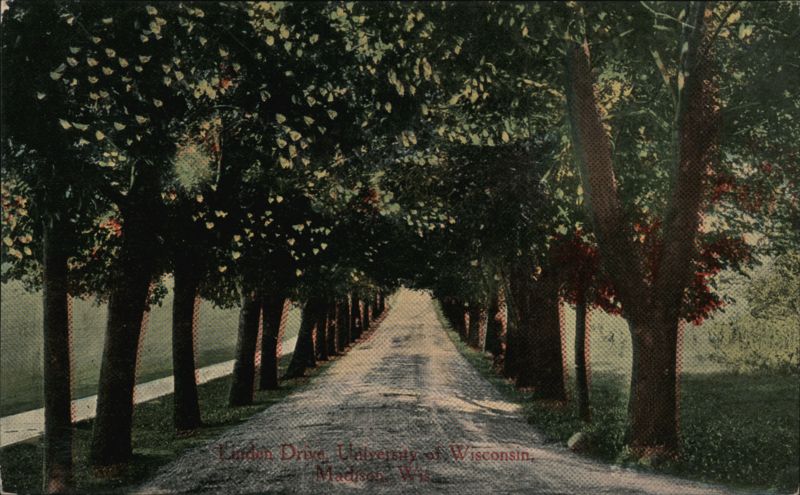 Linden Drive, University of Wisconsin, Madison