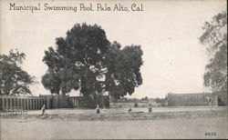 Municipal Swimming Pool Postcard