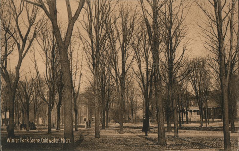 Winter Park Scene, Coldwater, Mich Michigan