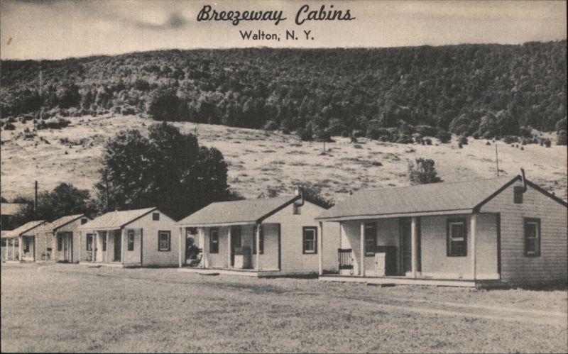 Breezeway Cabins, Walton, NY New York