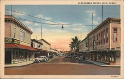 Kamehameha Avenue, Hilo, Hawaii Postcard