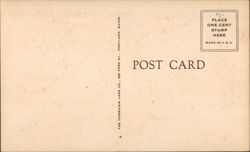 back