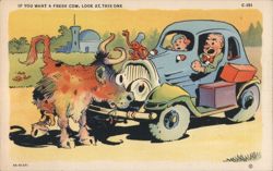 If You Want a Fresh Cow, Look at This One Postcard