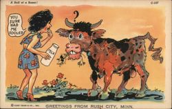 A Bull of a Boner! Greetings from Rush City, Minn. Postcard