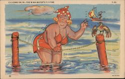 Chubby Lady in Swimsuit with Bird, Comic Humorous Postcard
