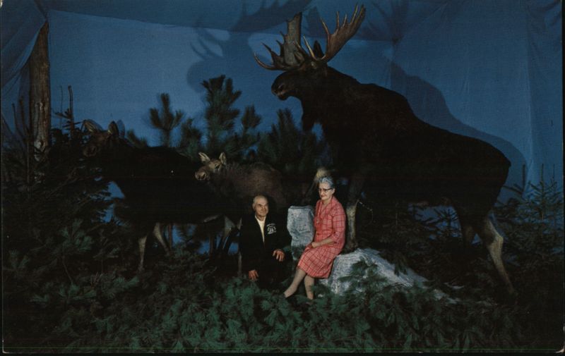 Henkelmann's Museum, Canadian Moose Wausau Wisconsin