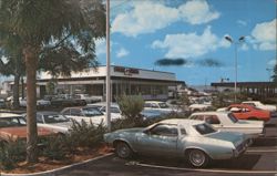 Steak 'n Shake Restaurant, Florida Postcard