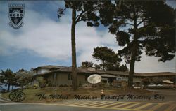 Wilkie's Motel Postcard