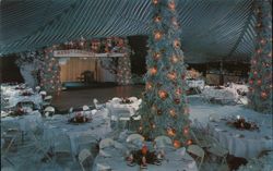 Entertain at Home - Turn Your Yard into a Ballroom Postcard