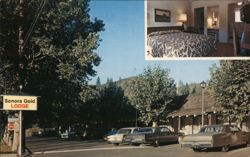 Sonora Gold Lodge, Sonora, CA Postcard