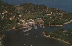 Aerial View of Saunders Point and Pine Grove, North Coast Postcard