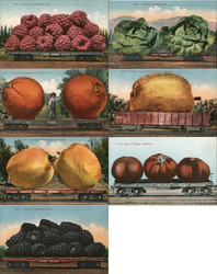 Set of 7: Train Carloads of Giant Fruit Postcard