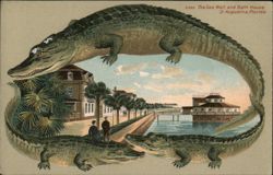 Alligator Border S552 The Sea Wall and Bath House, St. Augustine Florida Postcard