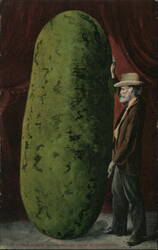 This is how watermelons grow in California Postcard