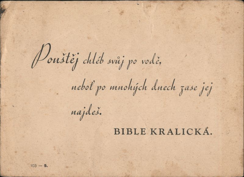 Czech Bible Verse: Cast Your Bread Upon the Waters