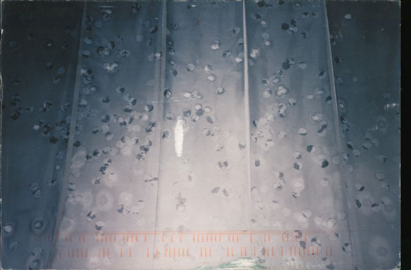 Keiko Hoshino: The Snow, the Moon, the Blossoms New York