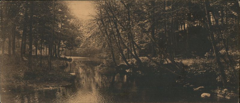 Creek in the Woods Waynesboro Pennsylvania
