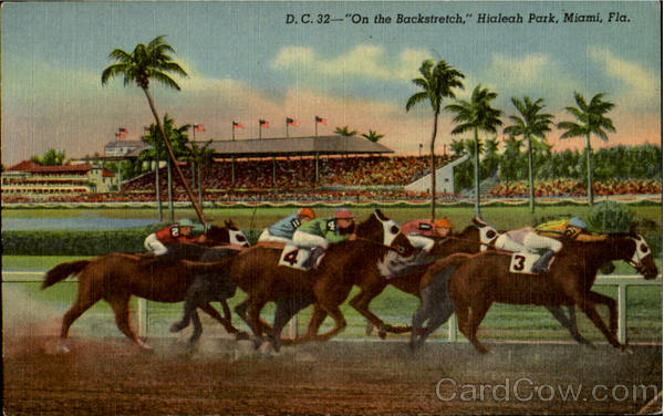 On the Backstretch, Hialeah Park Miami Florida Horse Racing