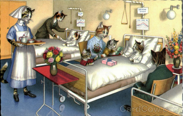 Hospital Visit Alfred Mainzer (Eugen Hurtong)