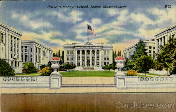 Harvard Medical School Boston Massachusetts