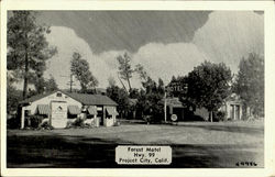Forest Motel, Hwy. 99 Postcard