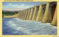 Spillway Gates,Bonneville Dam,Columbia River Postcard