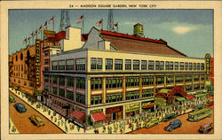 Madison Square Garden Postcard