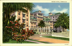Moana Hotel Postcard
