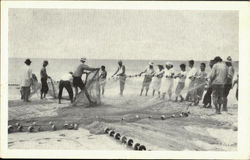 HukiLau Nets Postcard