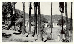 Praiso Hot Springs Postcard